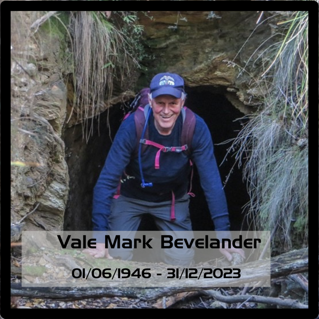 Vale Mark Bevelander.png