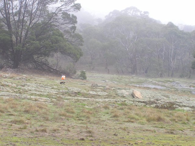 Mt Beckworth Fog Mt Beckworth Fog