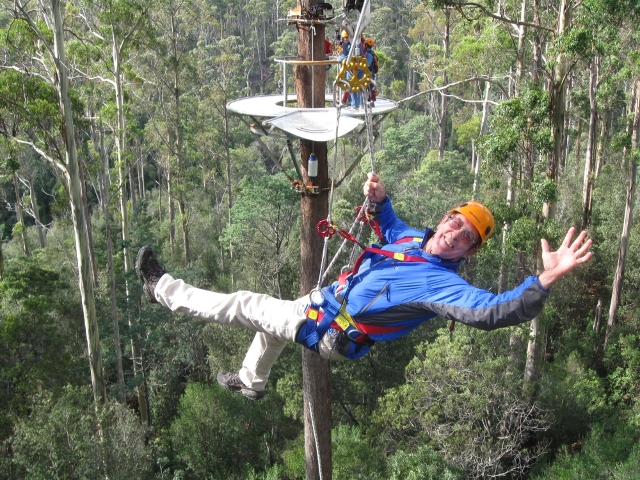 Hollybank Treetops Adventure 5 Hollybank Treetops Adventure 5