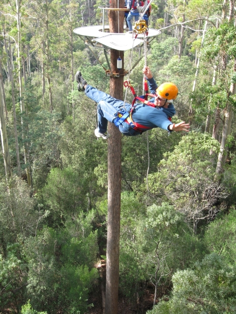 Hollybank Treetops Adventure 4 Hollybank Treetops Adventure 4