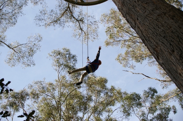 Hollybank Treetops Adventure 3 Hollybank Treetops Adventure 3