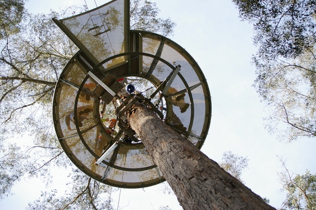 Hollybank Treetops Adventure 2 Hollybank Treetops Adventure 2