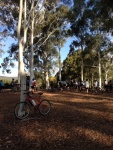 Start of sprint race in Beechworth