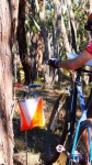 Vic Middle Distance MTBO Champs
