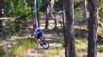 Vic Middle Distance MTBO Champs