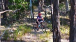 Vic Middle Distance MTBO Champs