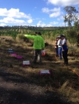 Gary points the way to the start triangle at Petticoat Gully in early March 2021 - BEFORE the lockdowns