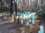 Woowookarung Park Improvements