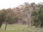 Dubbo Granite