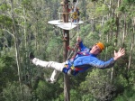 Hollybank Treetops Adventure 5